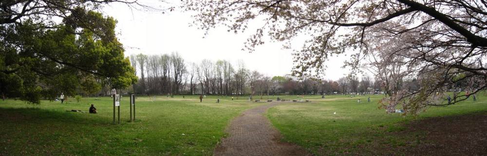 Koganei Park (小金井公園) — photographed on site